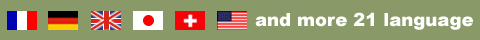 21language