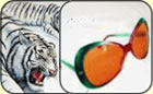 Digital Printing Process