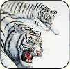 quality_pictureprint_transparent1.png